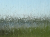 cardinalshower_glasssample_rain_small